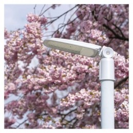 LED Street light SOLIS 30W 3600LM NW