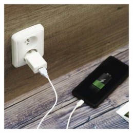 USB ADAPTÉR BASIC SÍŤ 1.0A